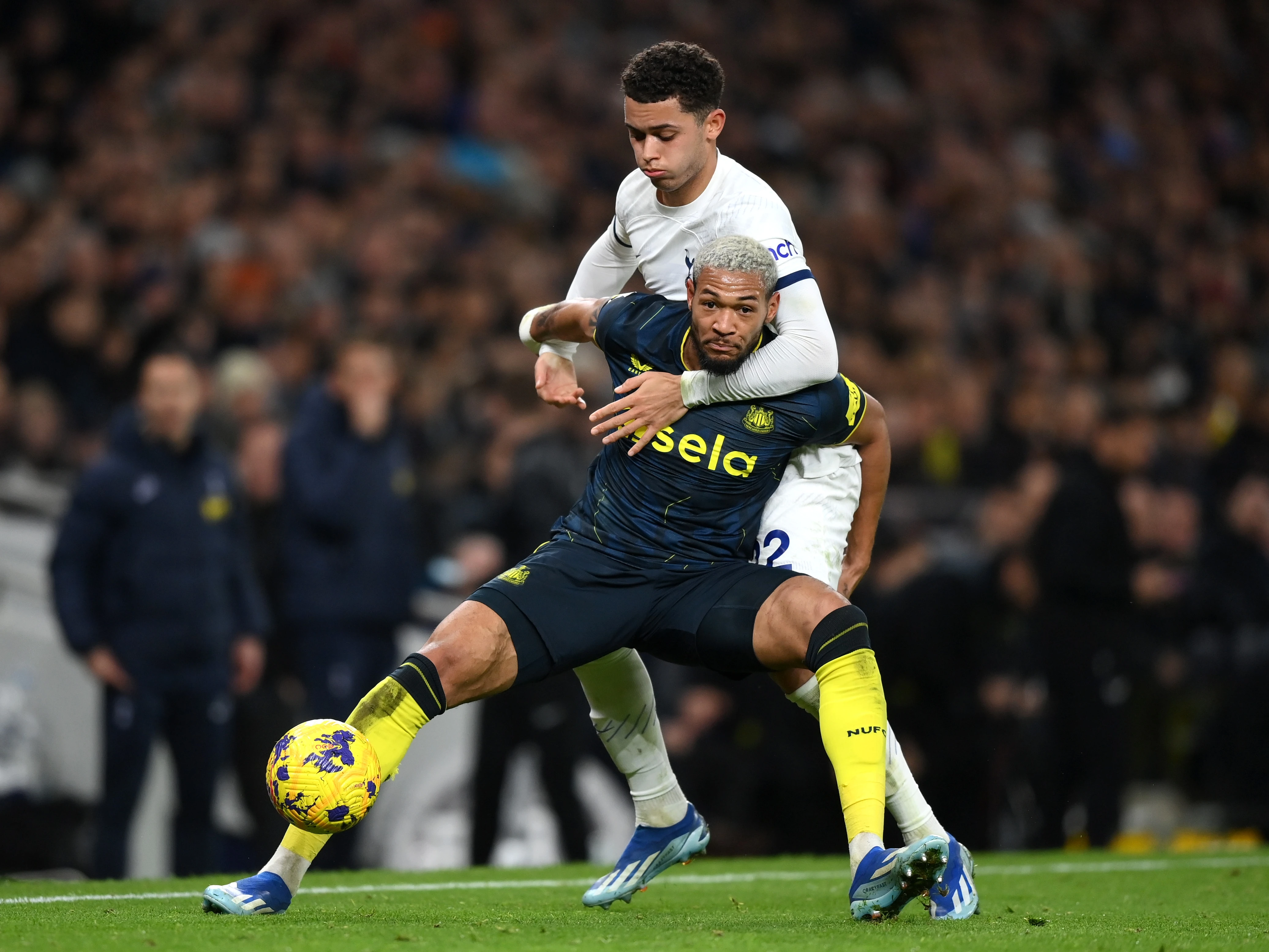 Spurs v Newcastle 23/24 image