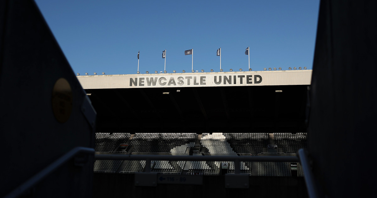 Newcastle United vs Brighton match preview image