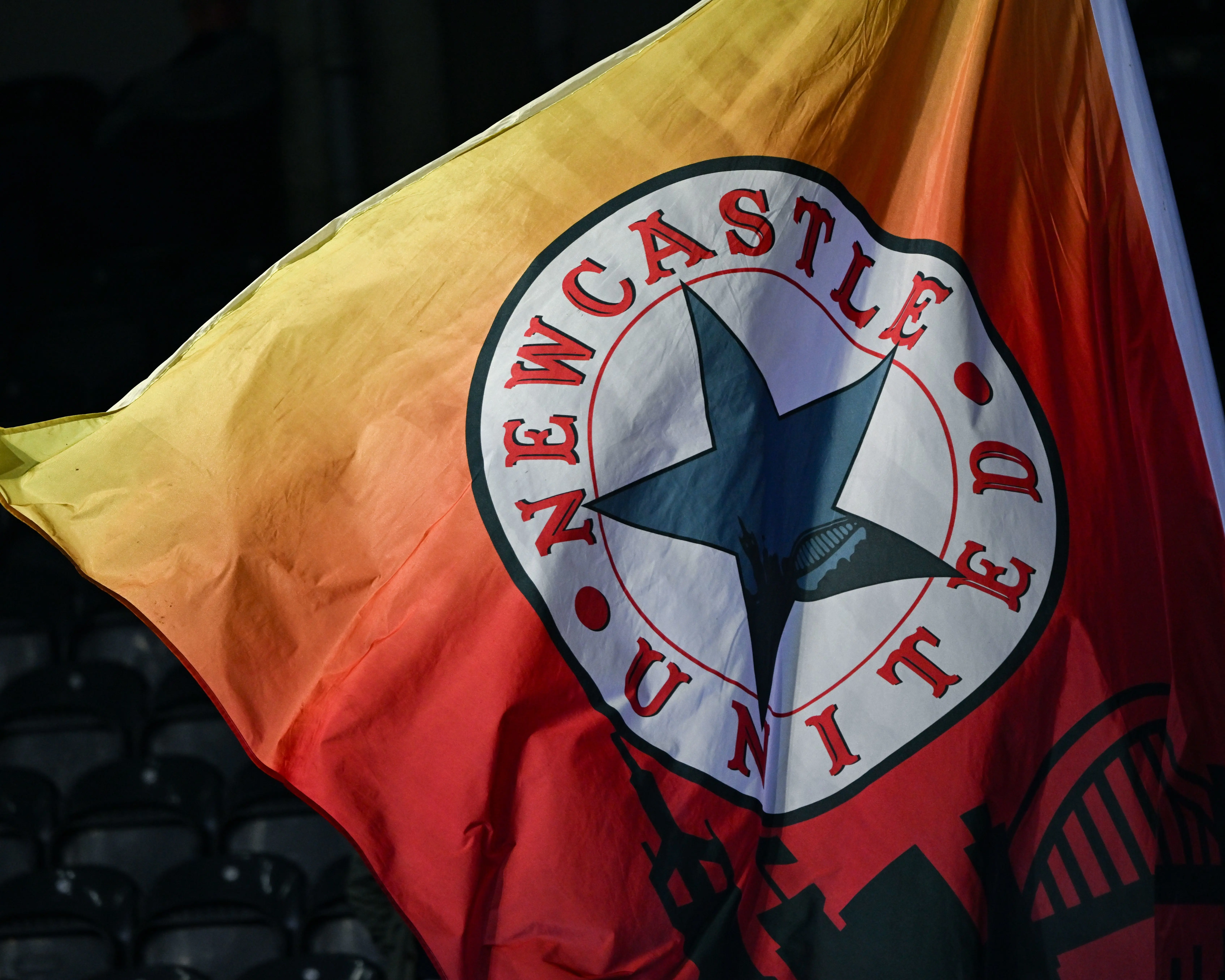 Newcastle flag image