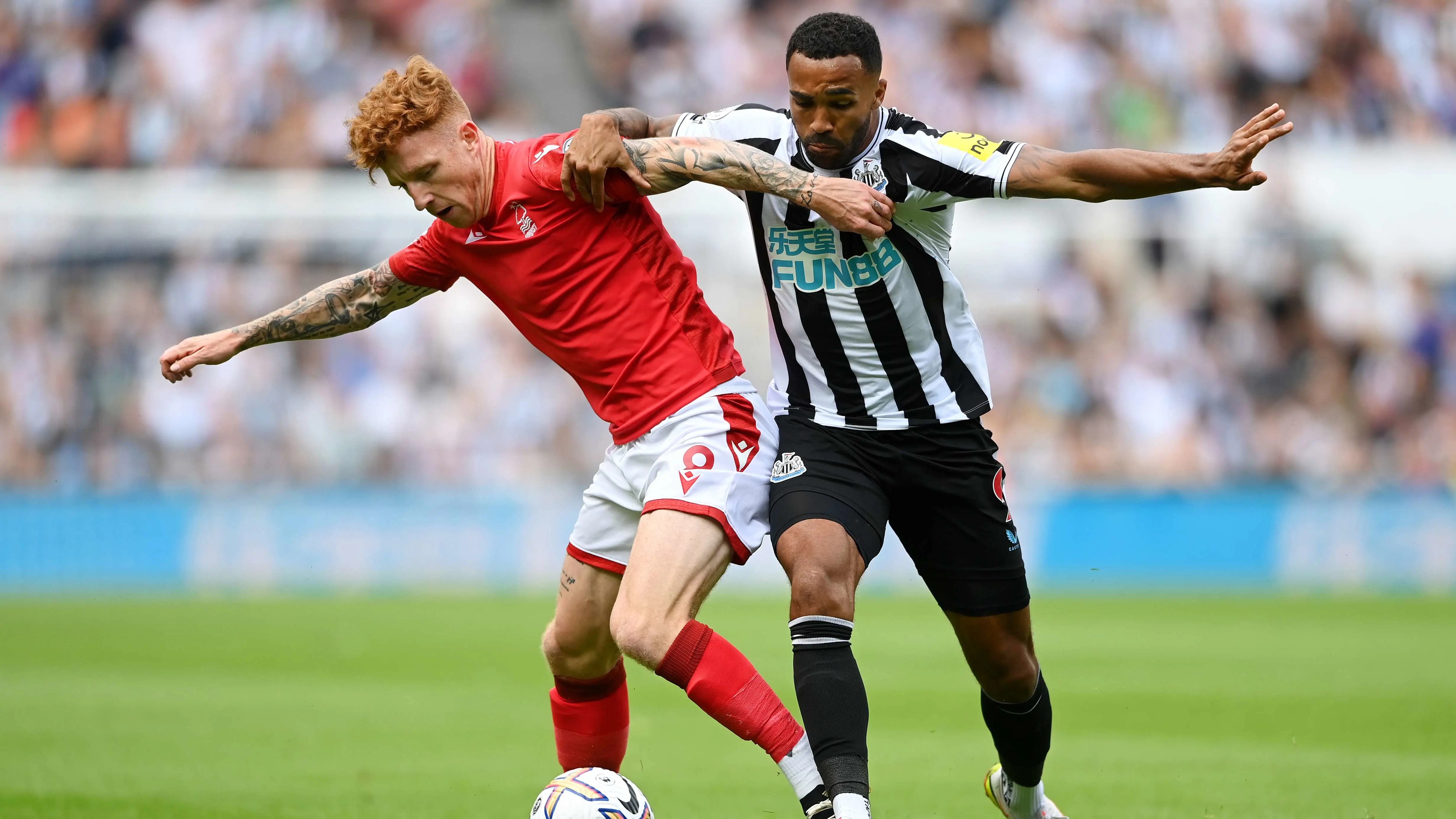 callum-wilson-jack-colback-nottingham-forest