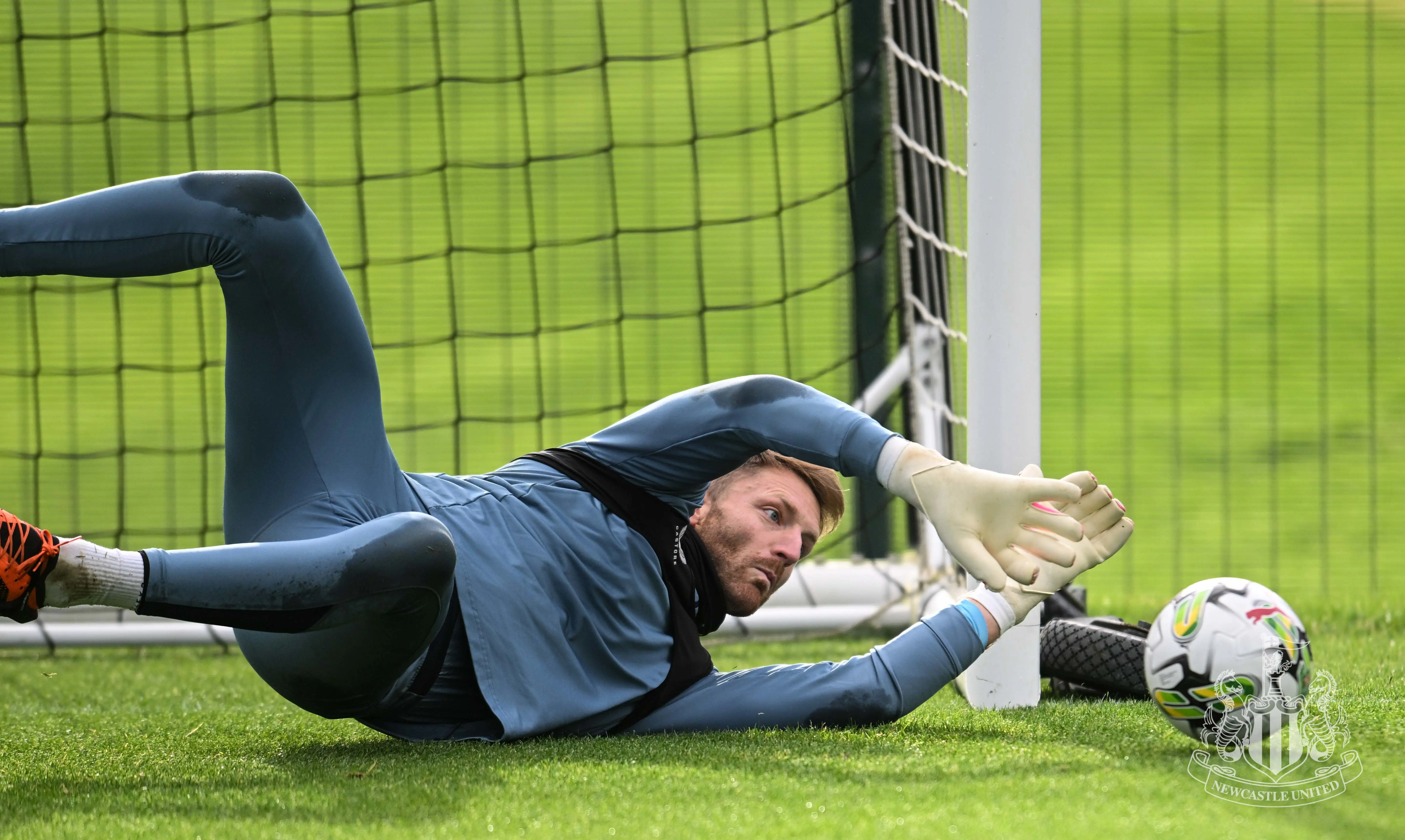 training010