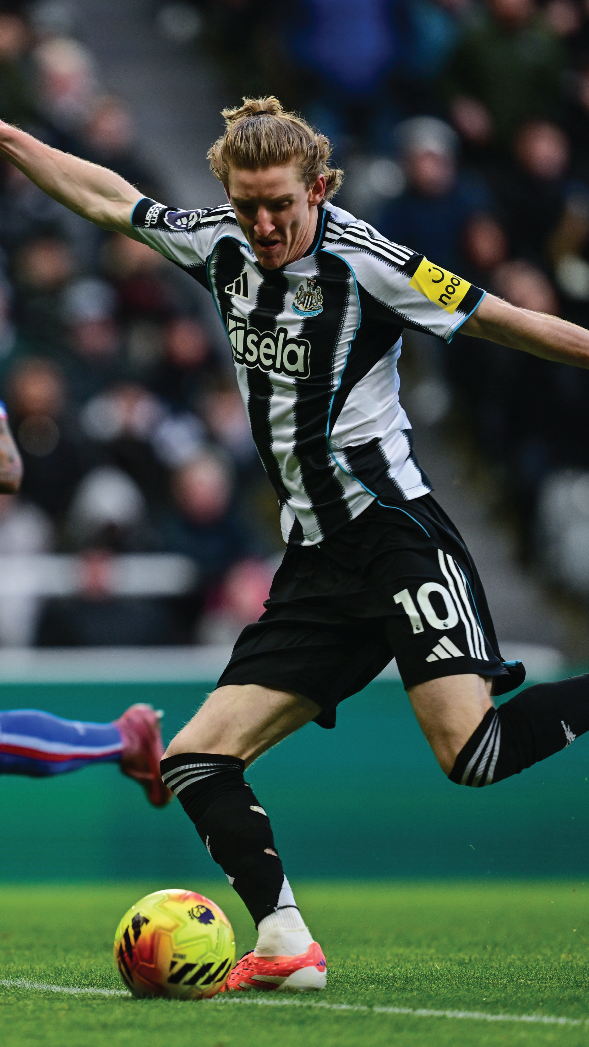Newcastle United - Home