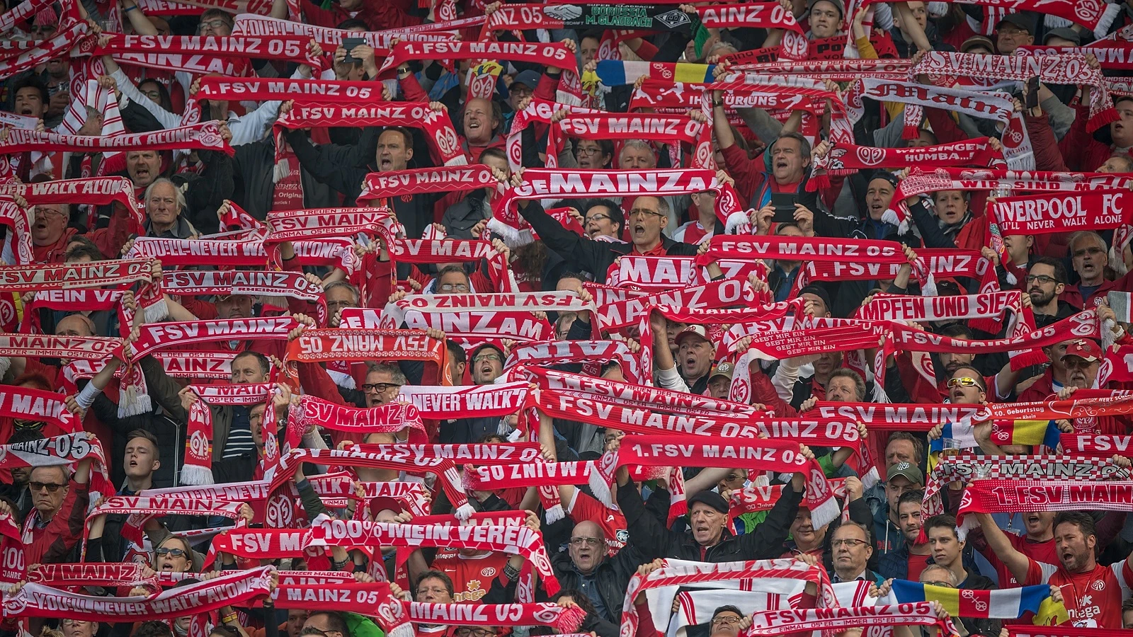 20170619-mainz-supporters