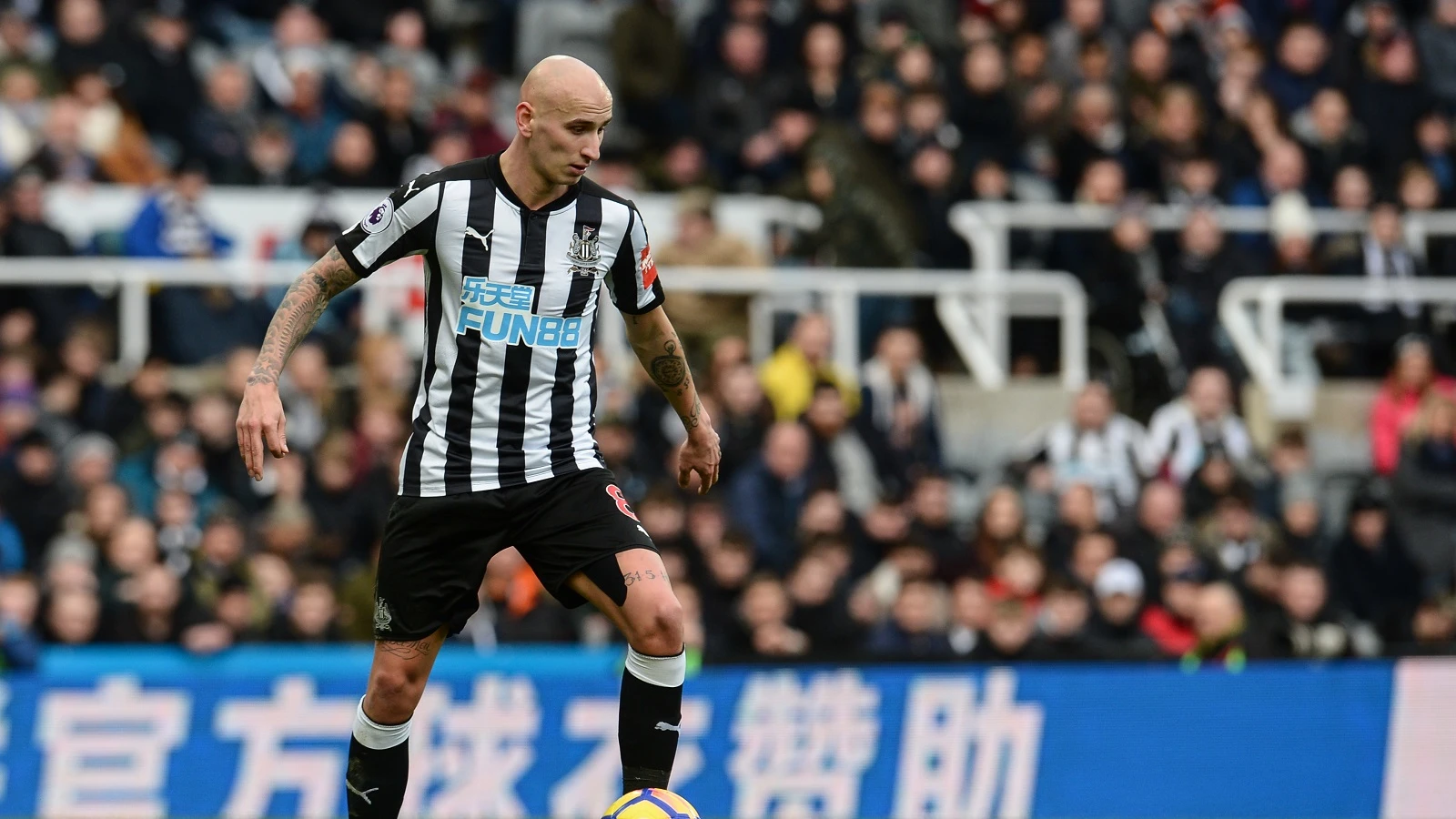 20180211-jonjo-shelvey