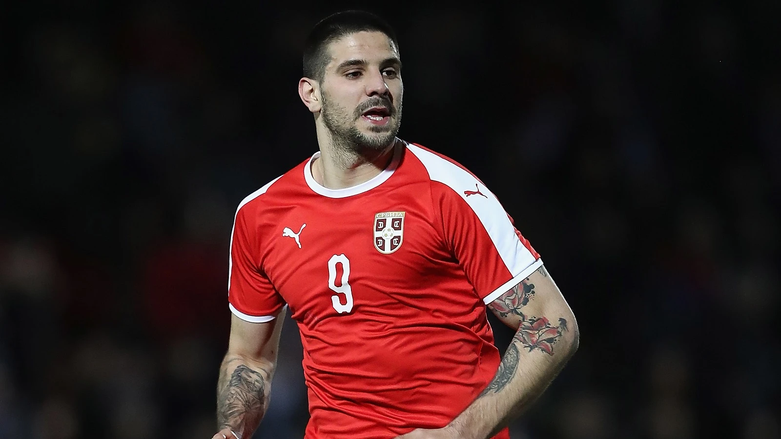 20180524-aleksandar-mitrovic-serbia