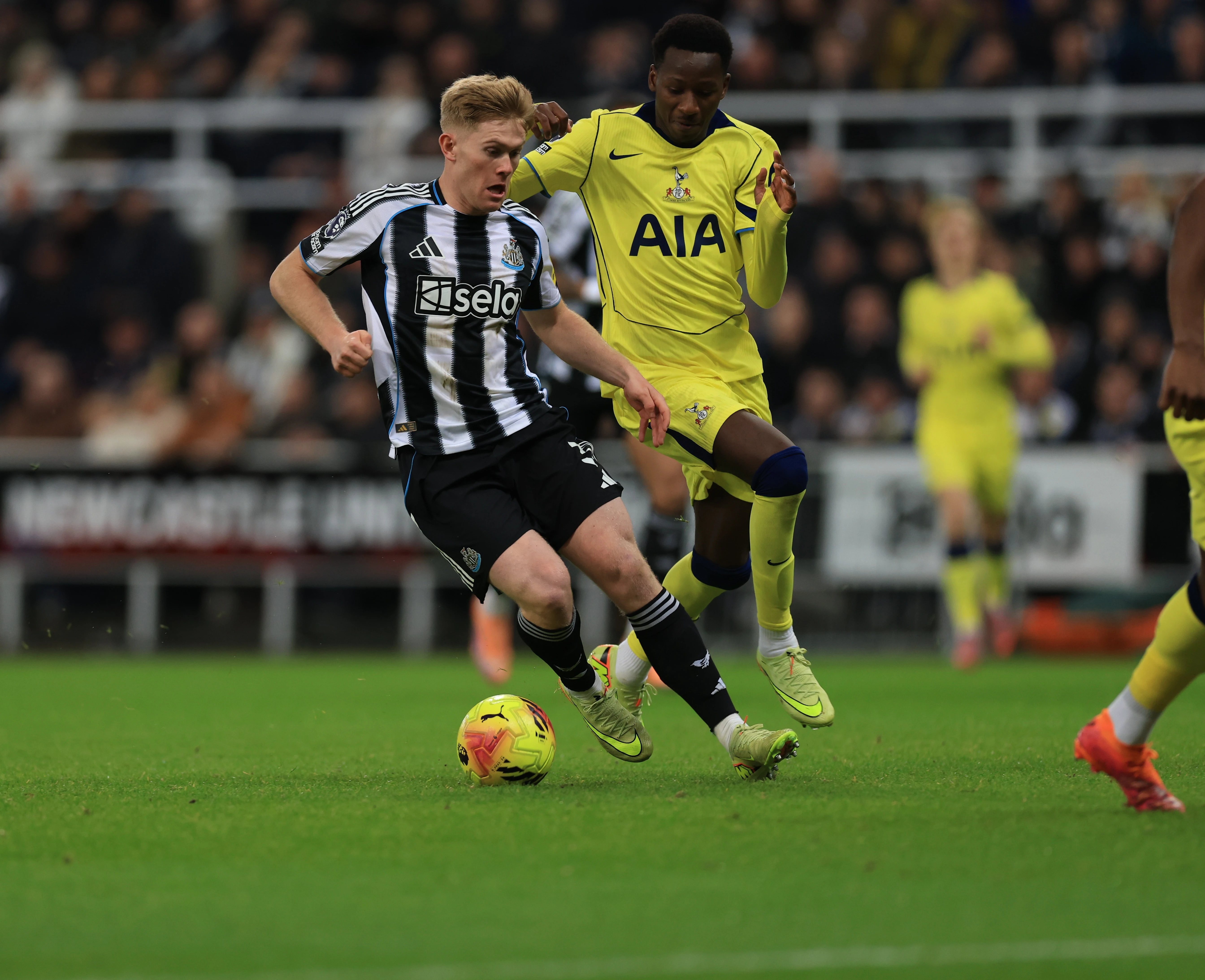 Lewis Hall Spurs image