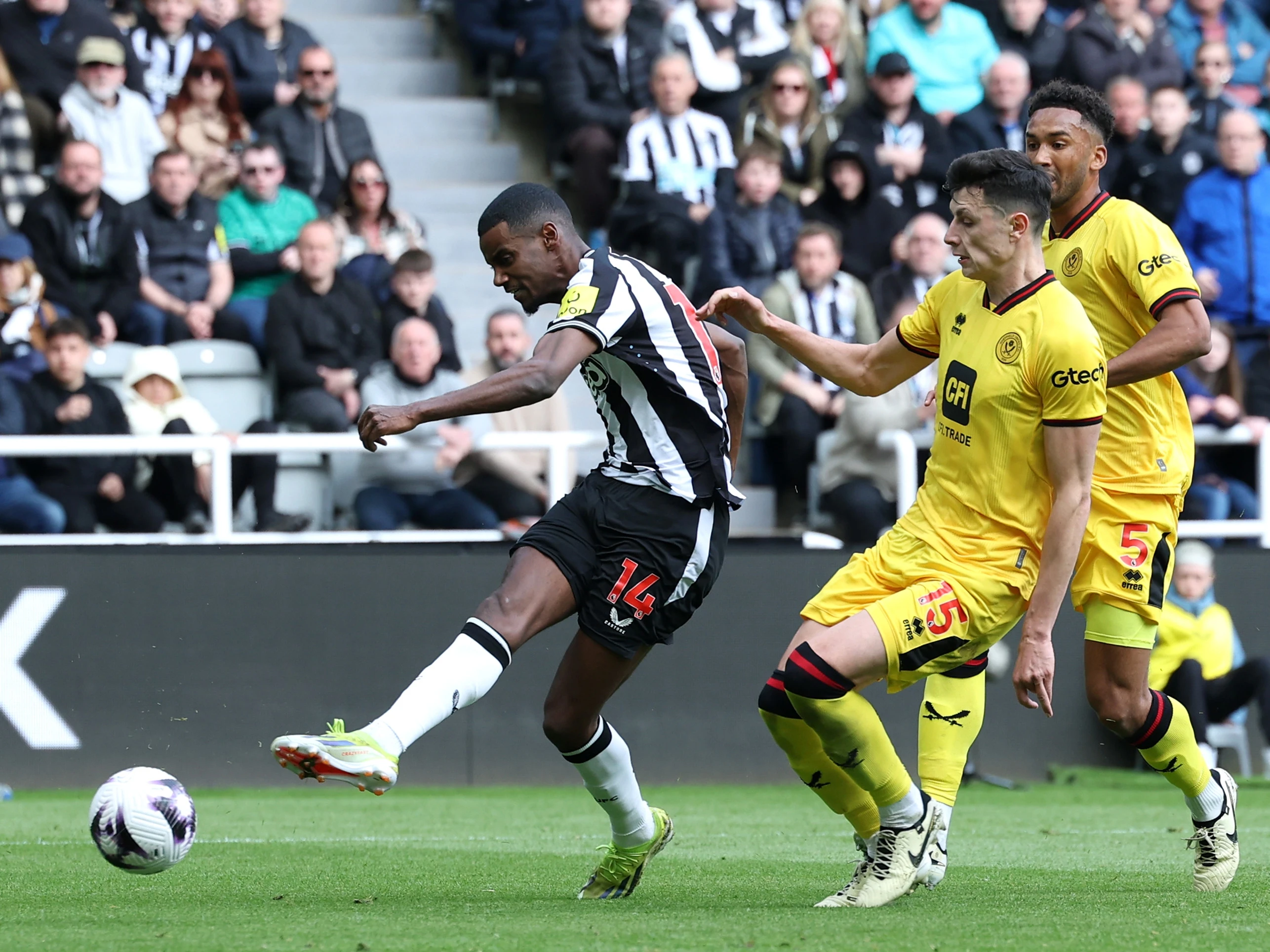 Newcastle v Sheffield United 23/24 image