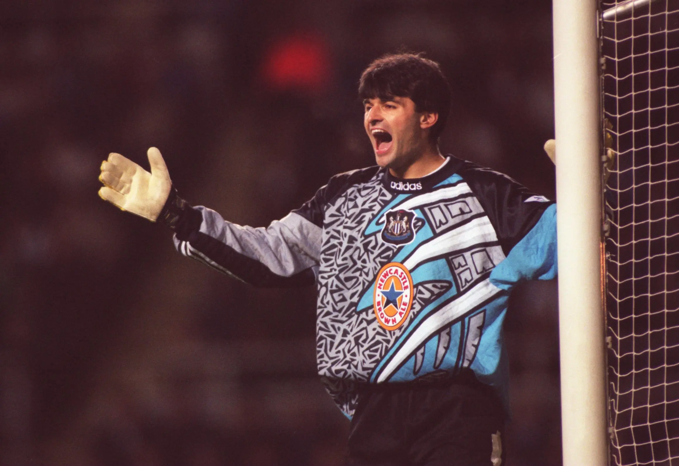 Pavel Srníček