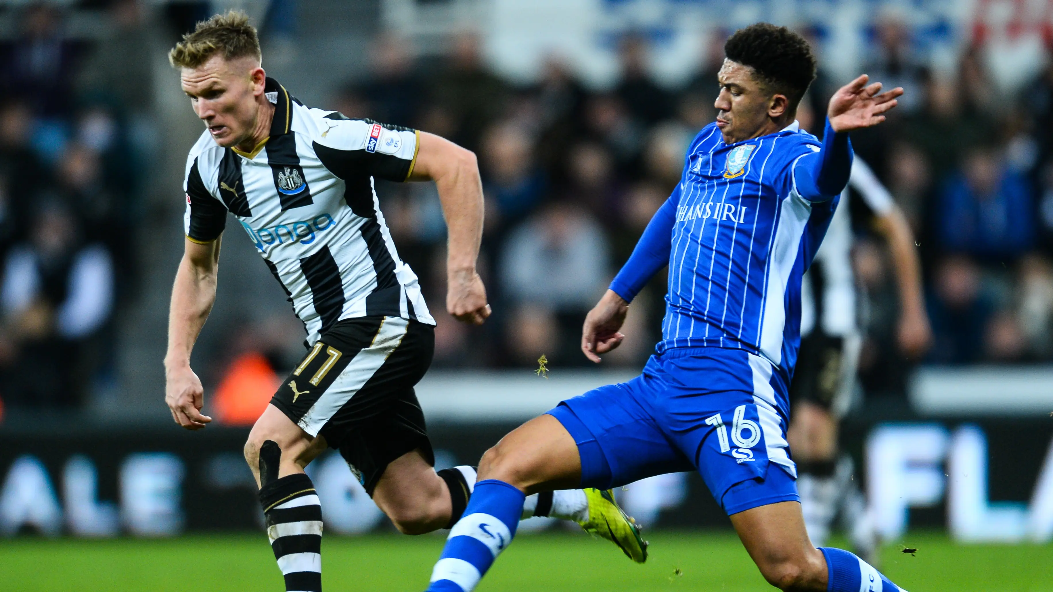 matt-ritchie-sheffield-wednesday