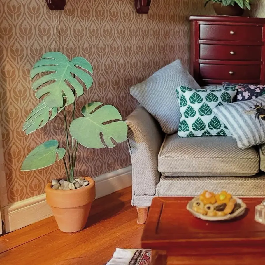 Monstera Deliciosa UGC 22