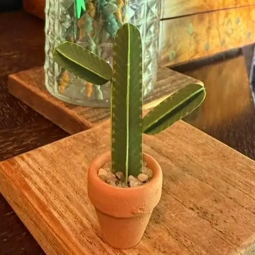 Euphorbia Ingens UGC 5