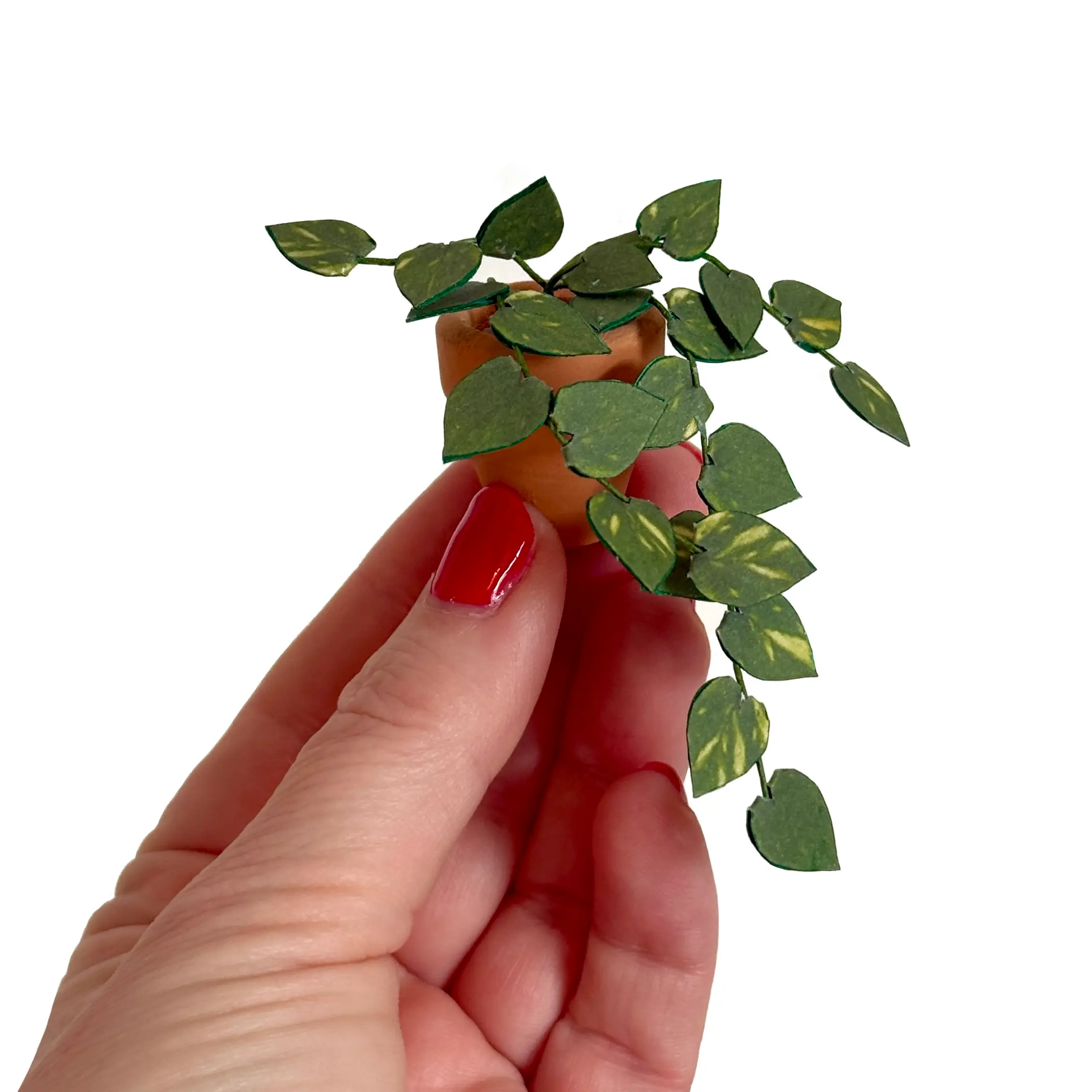 Pothos Hand