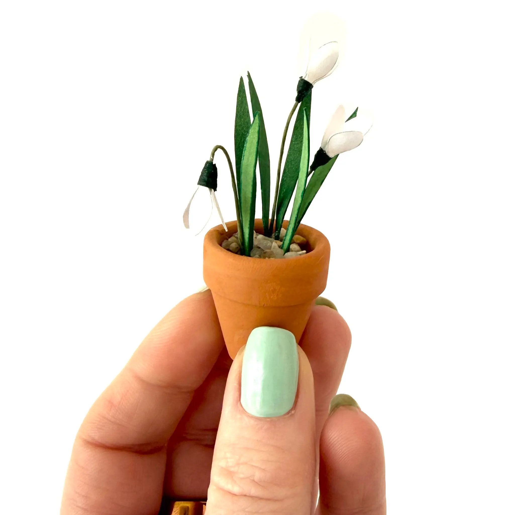 Snowdrop Hand