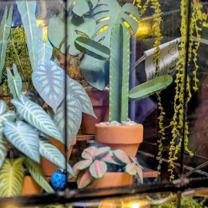 Euphorbia Ingens UGC 6