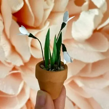 Snowdrop UGC 6