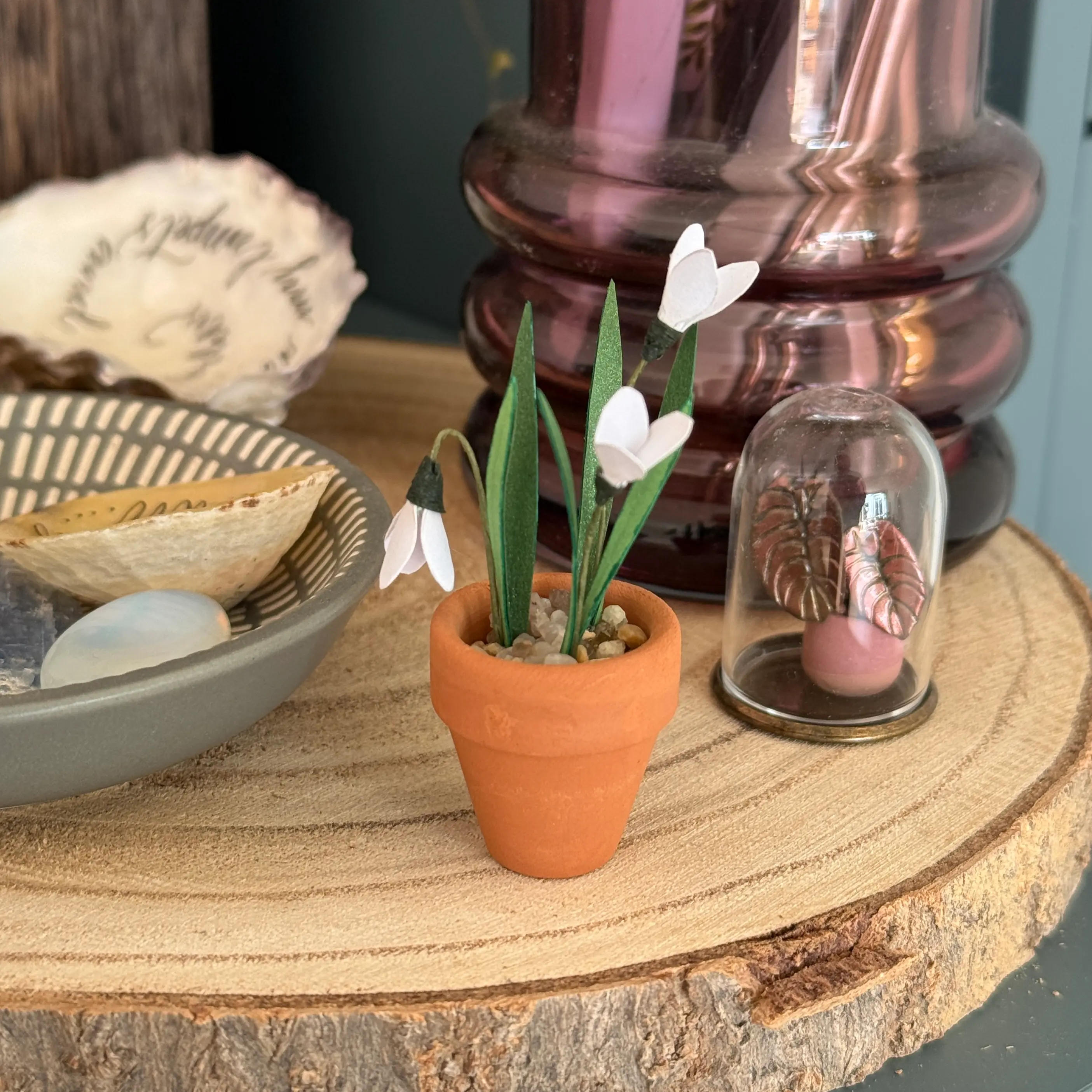 Snowdrop