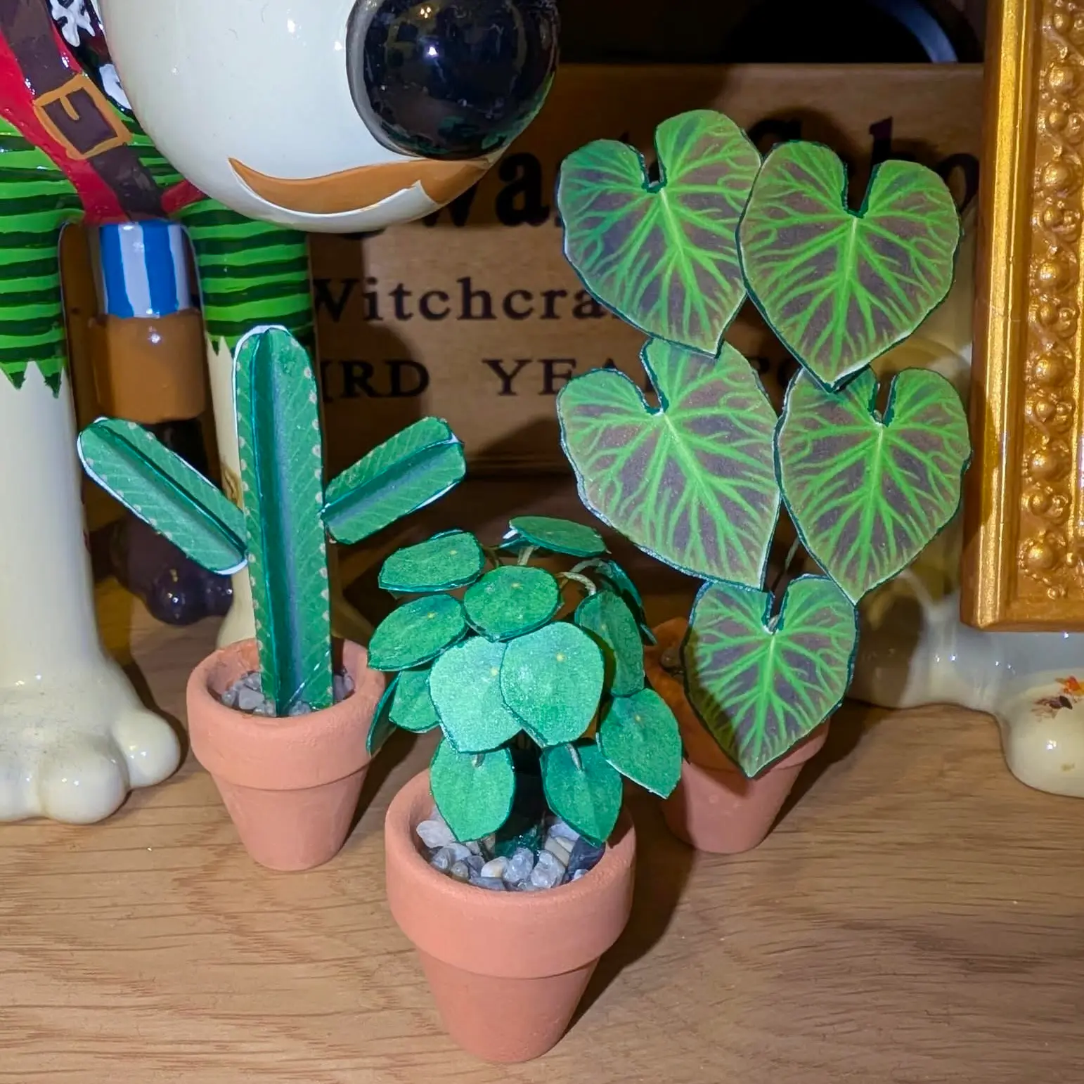 Philodendron Verrucosum UGC 15