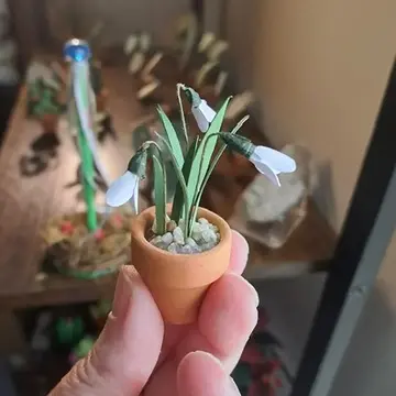 Snowdrop UGC 2