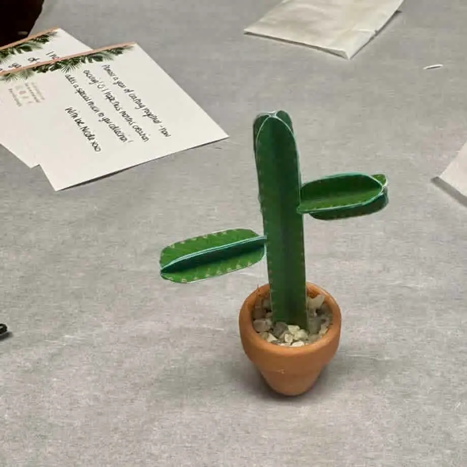 Euphorbia Ingens UGC 15