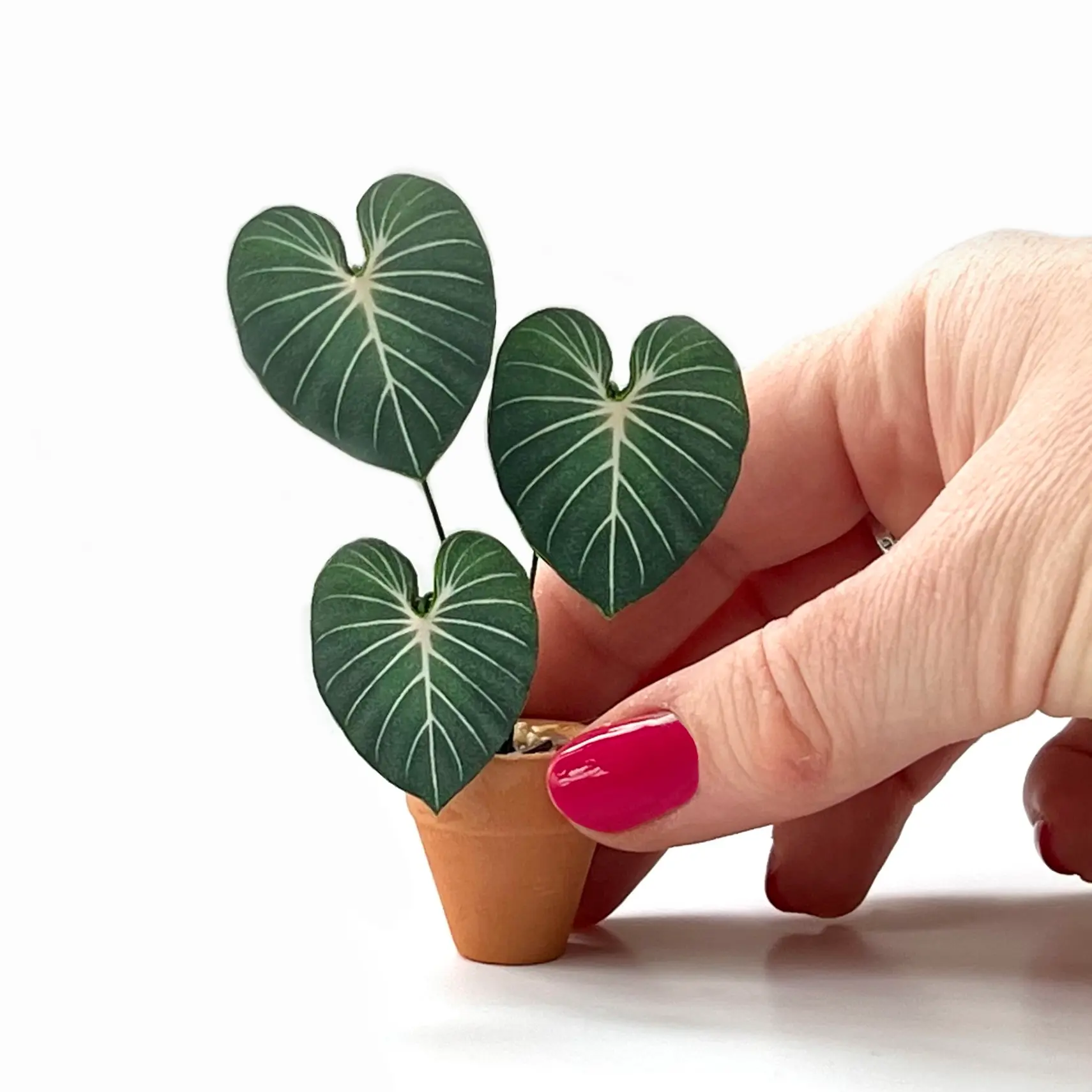 Gloriosum hand