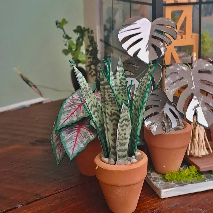 Sansevieria Snake Plant UGC 4