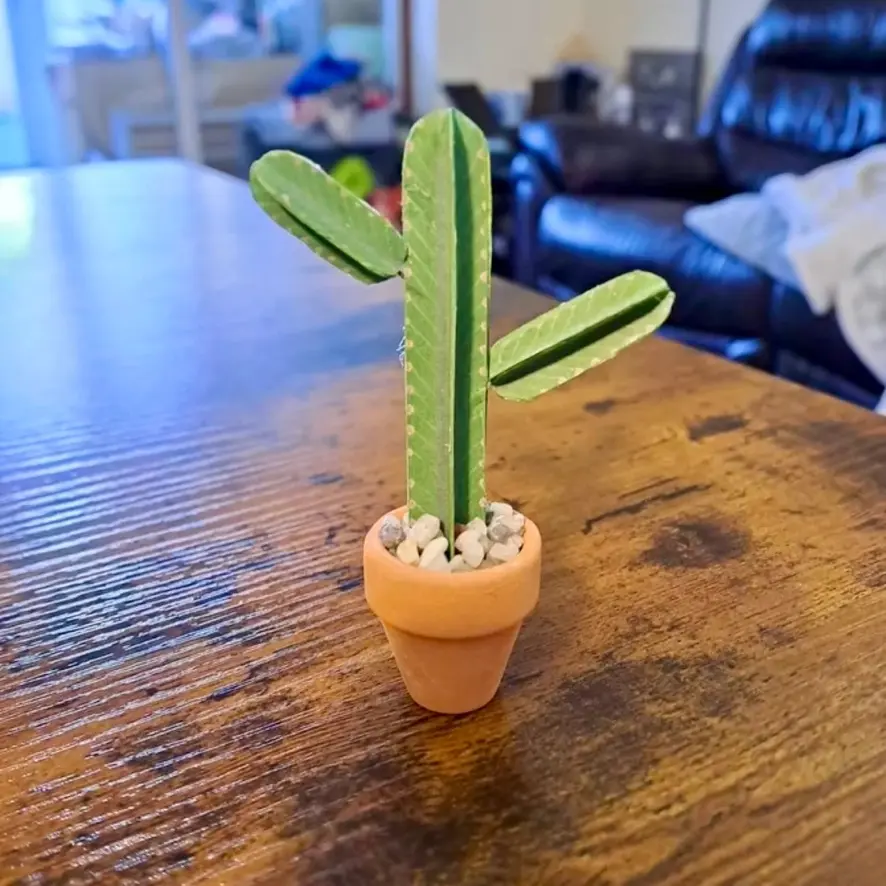 Euphorbia Ingens UGC 8