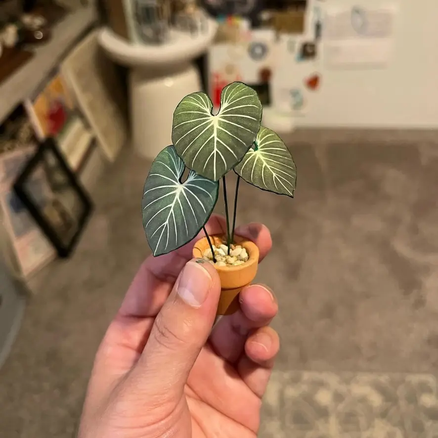 Gloriosum UGC 3