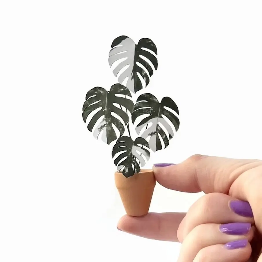 Monstera Albo hand
