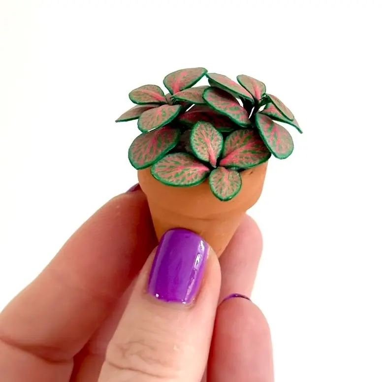 Fittonia Hand