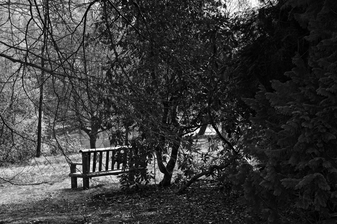 bench facing pond, stourhead