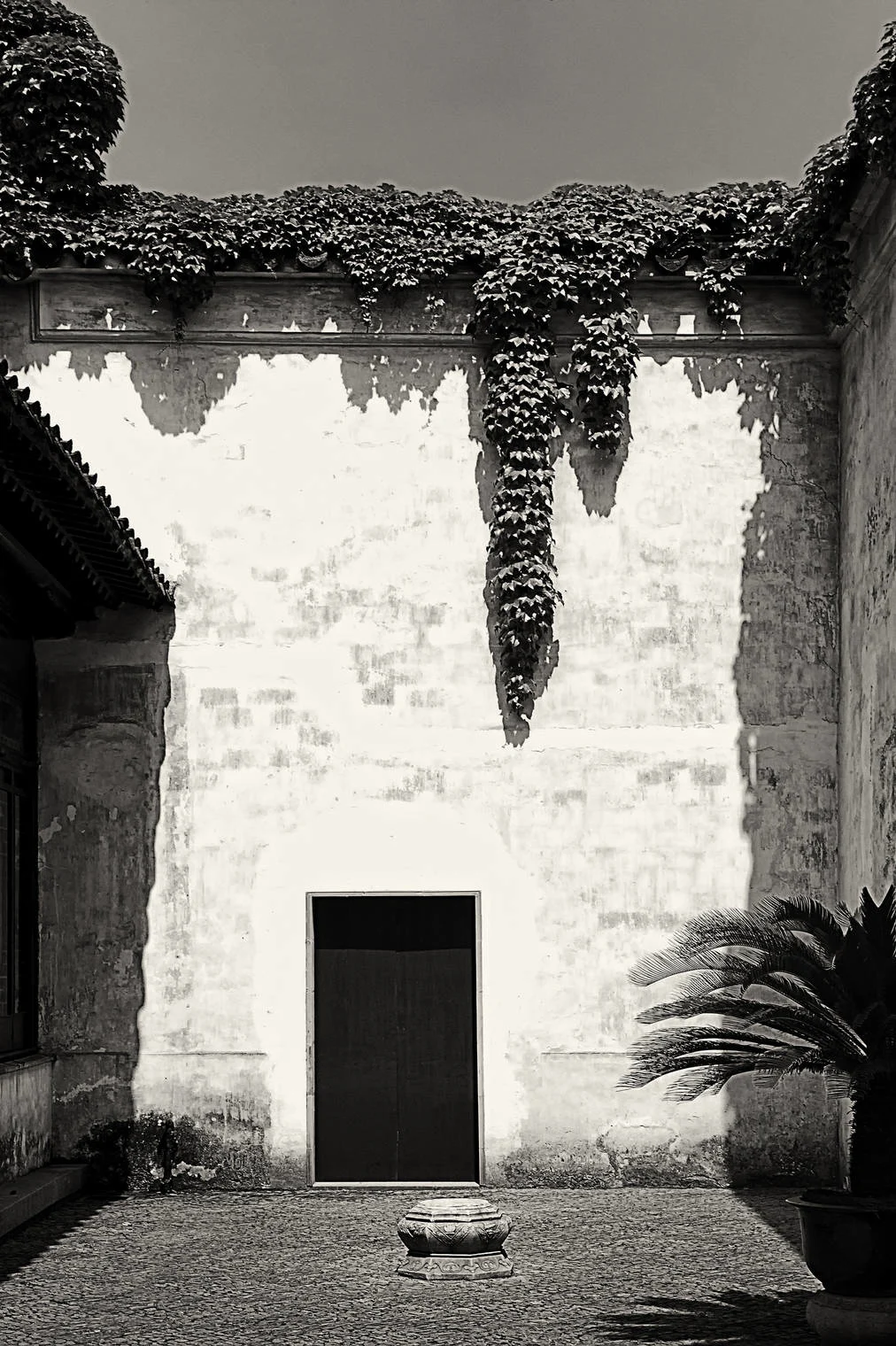 courtyard garden