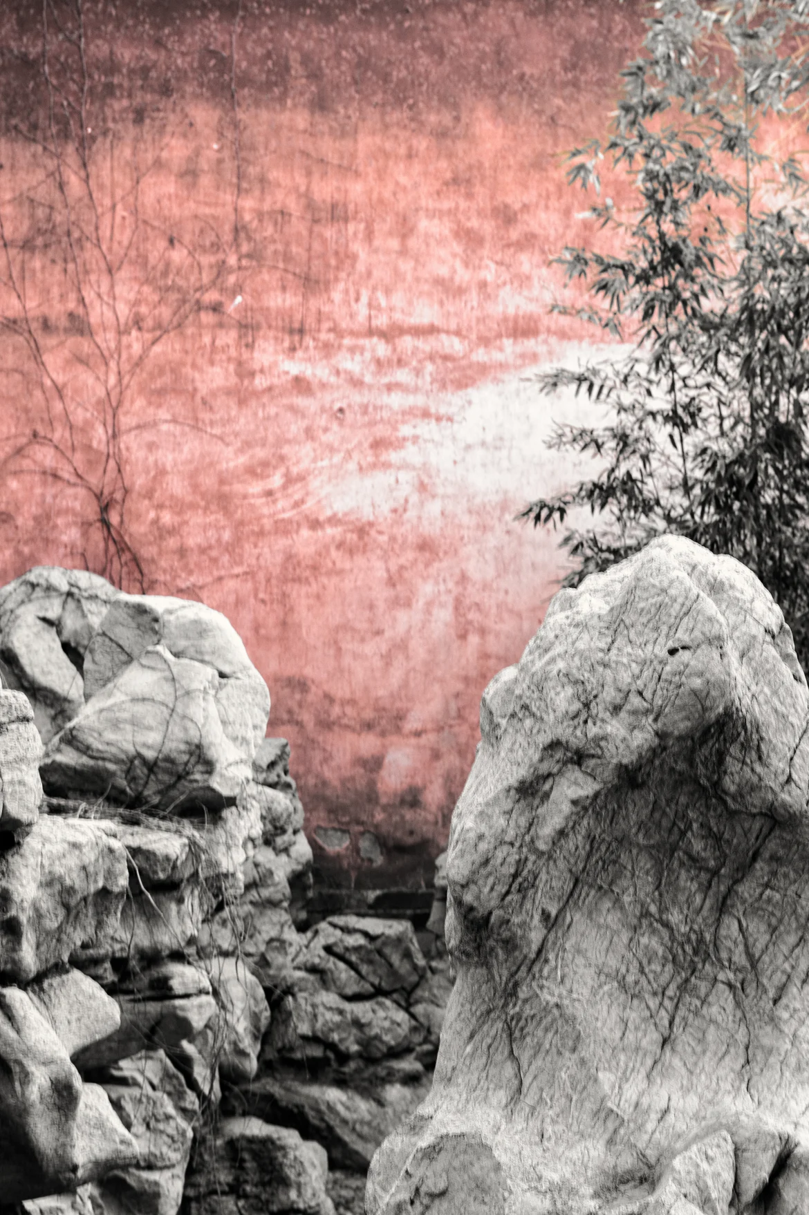 stones and bamboo with red wall, forbidden city