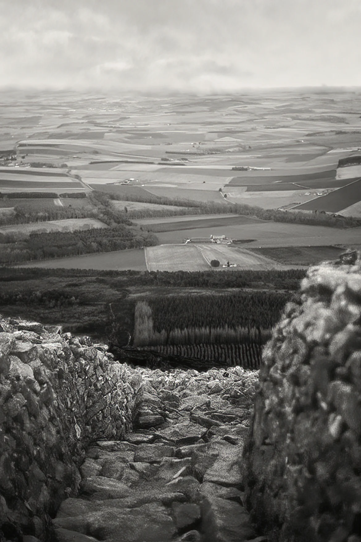 View from summit of Bennachie