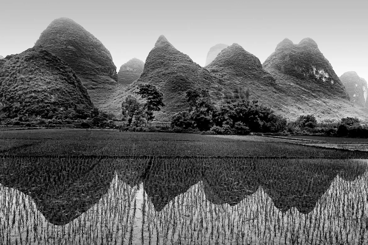 view of karst mountains from rice fields