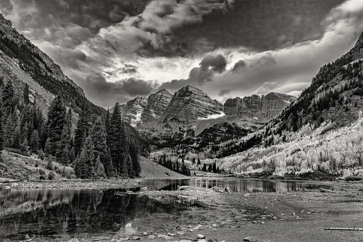 MAROON BELLS