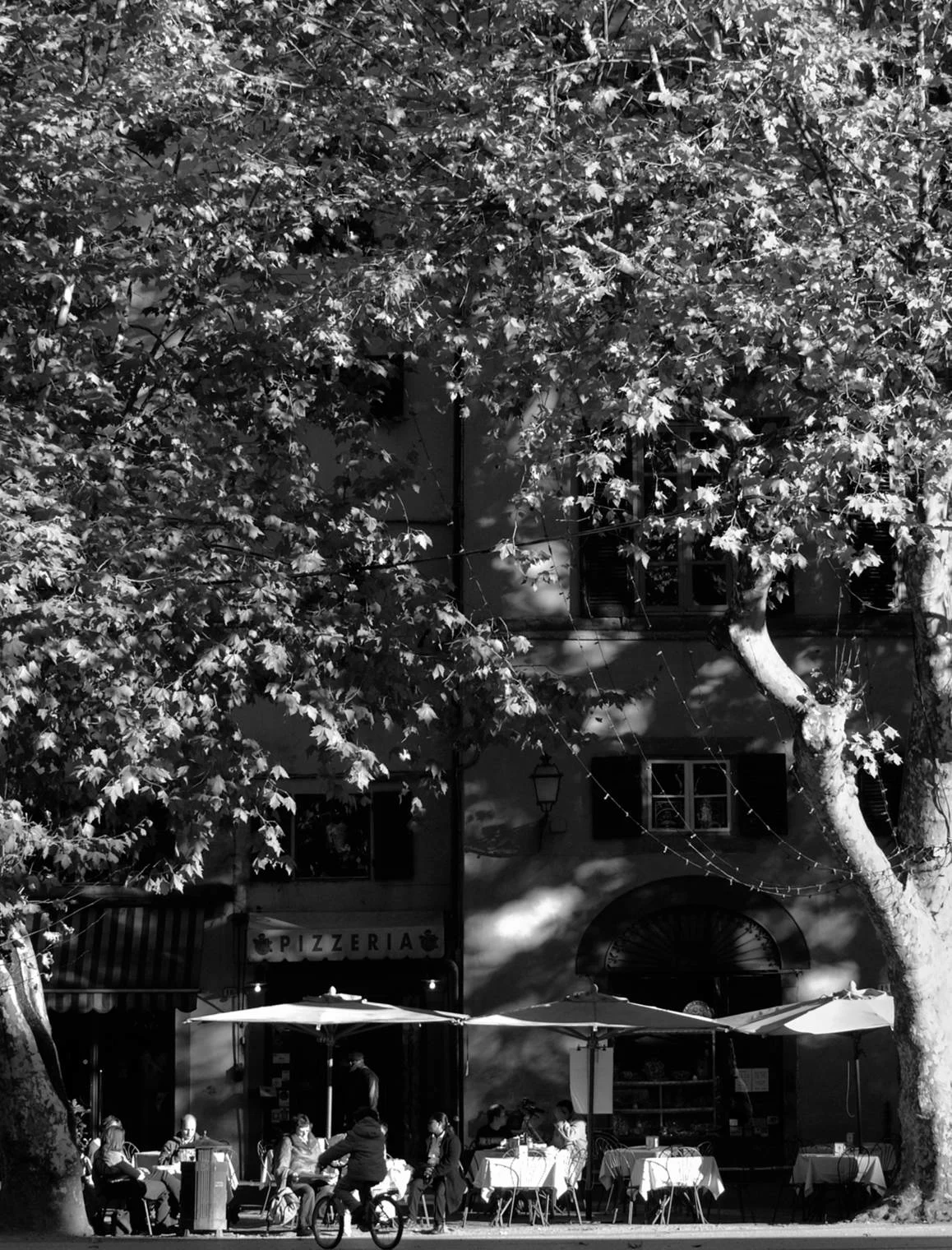 small piazza with cafe and pizzeria, lucca