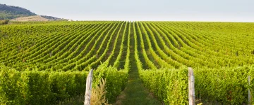 CEE TripProgram Mikulov