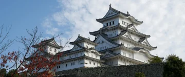 JAP TripProgram Template (19)