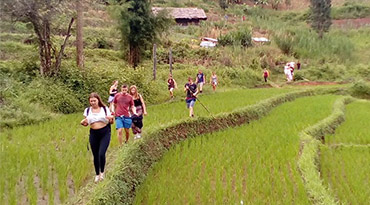Wandel langs rijstvelden en lokale dorpjes