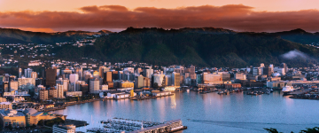 TRIP NZL PROGRAMMA11