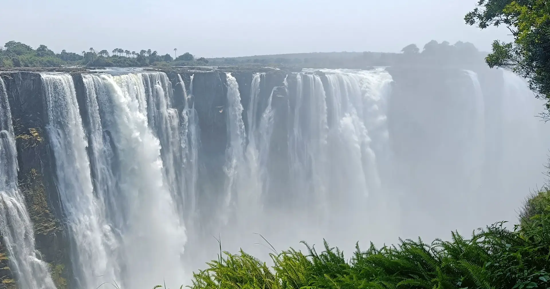 banner afbeelding over Groepsreis Zimbabwe