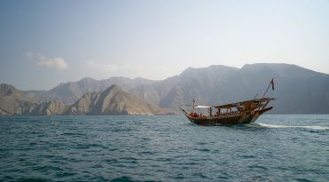 Spot dolfijnen tijdens een traditionele dhow-cruise op zee