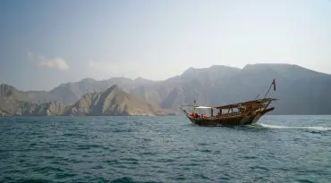 Spot dolfijnen tijdens een traditionele dhow-cruise op zee