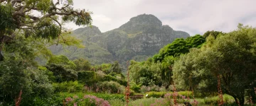 ZAS TripProgram Kaapstad