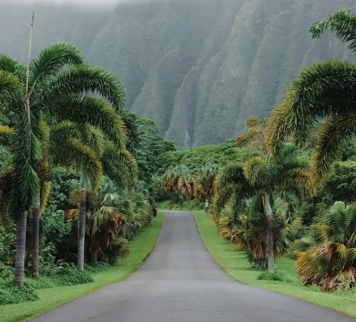 Country Hawai natuur