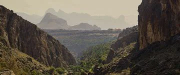 OMA Programma Jebel shams