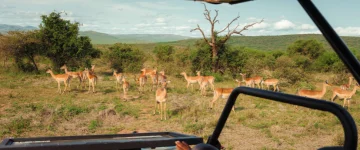 ZAS TripProgram Hluhluwe