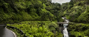 HAW TripProgram Road to Hana