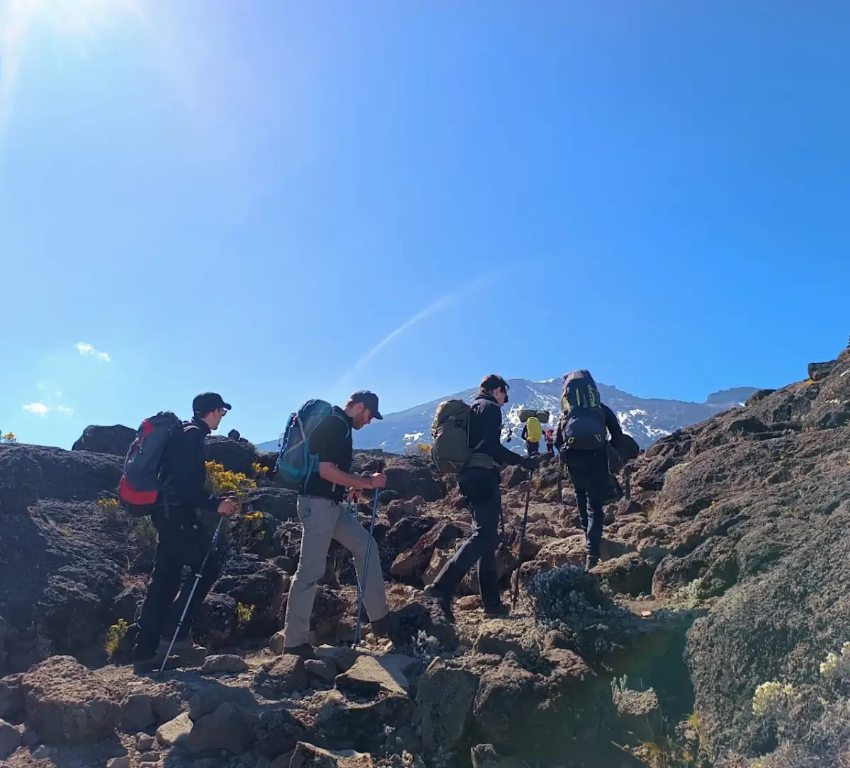 KIL trektocht Lemosho