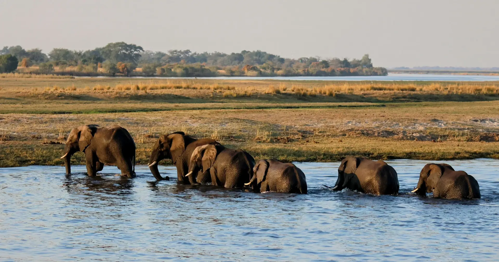 banner afbeelding over Groepsreis Botswana